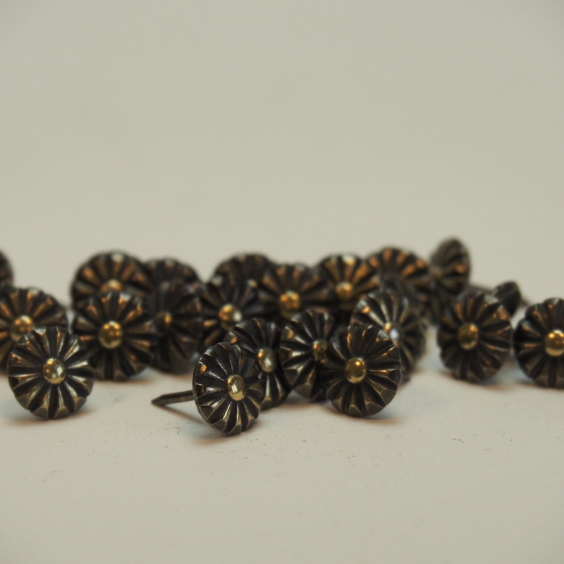 Siernagels Margriet - 100 stuks