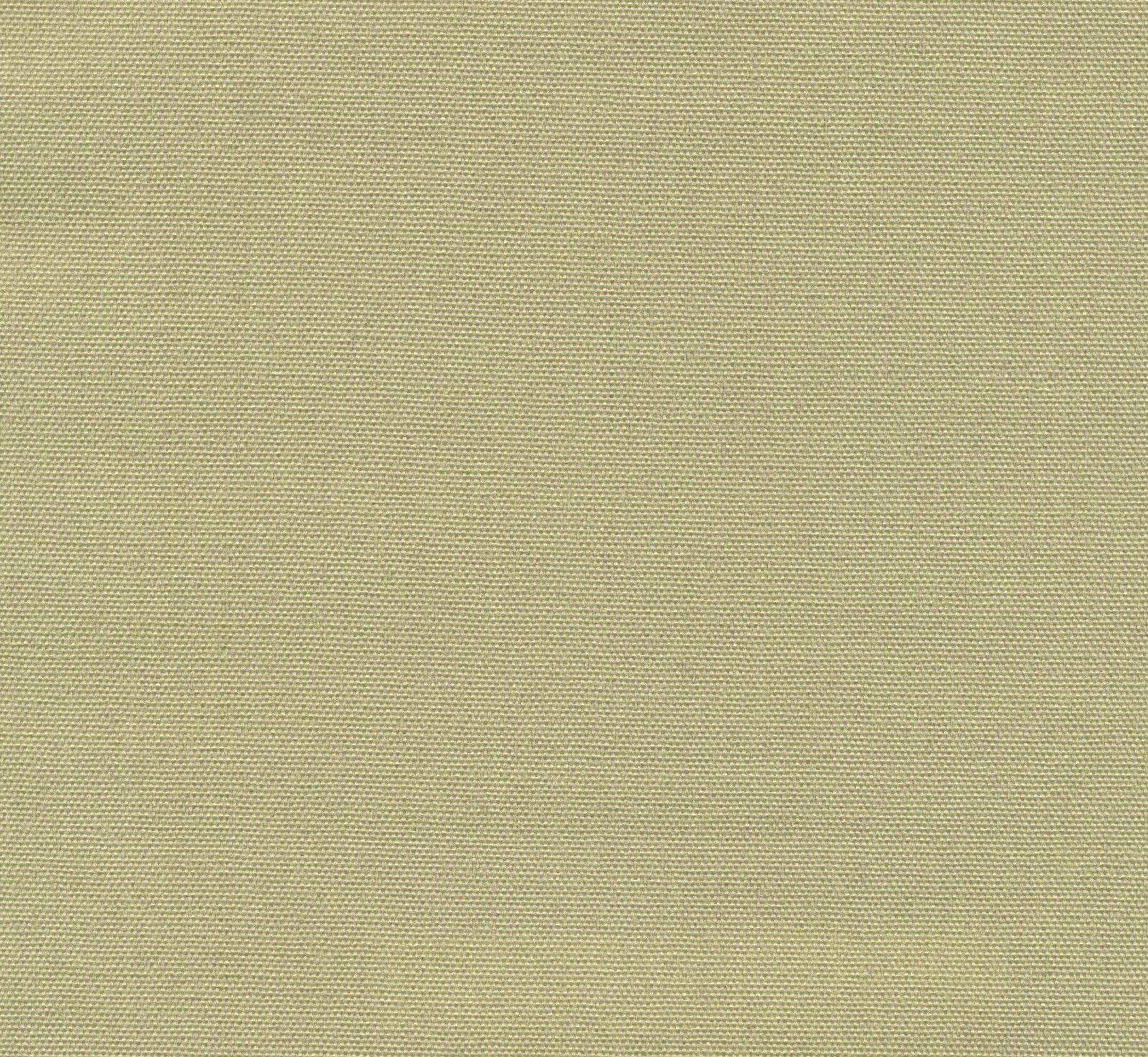 Isshiki Kiwi